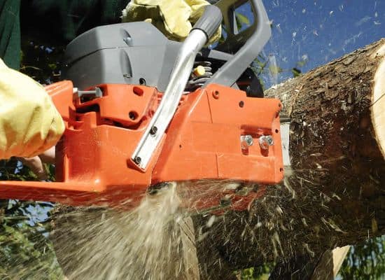 tree felling equipment